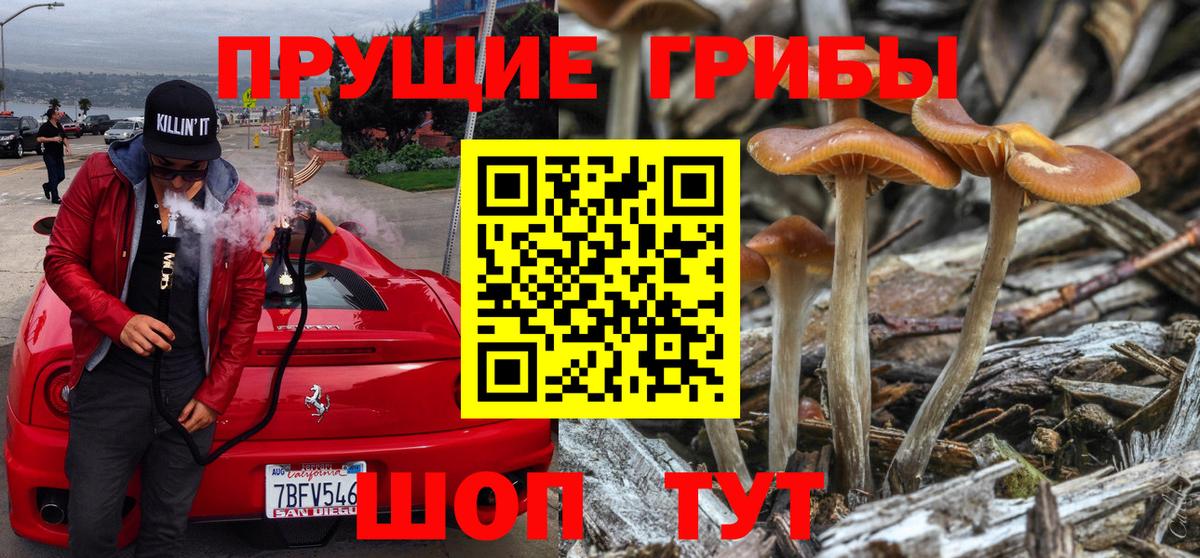 Галлюциногенные грибы Magic Shrooms Томск